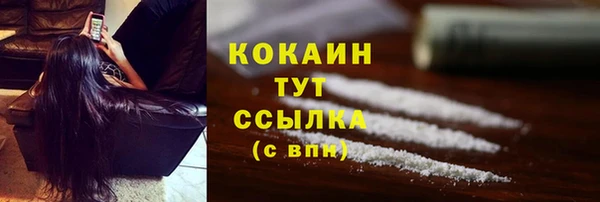 гидропоника Гусь-Хрустальный