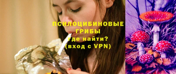 гидропоника Гусь-Хрустальный