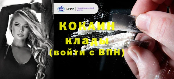 гидропоника Гусь-Хрустальный