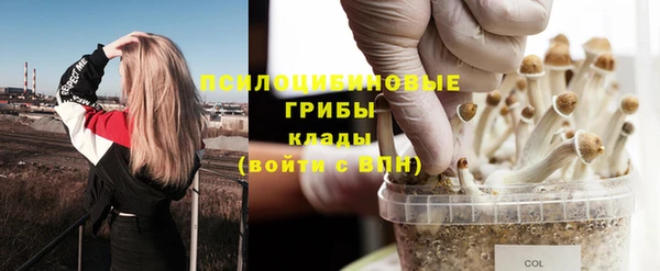а пвп мука Горняк
