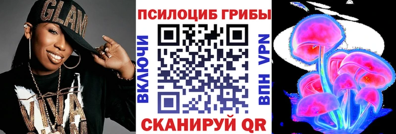 Галлюциногенные грибы MAGIC MUSHROOMS где можно купить наркотик гидра ссылка Гудермес